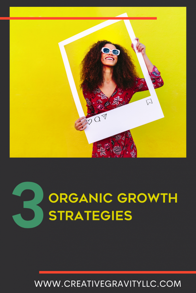 3 Organic Growth Strategist Blog Post - Woman holding Instagram Frame